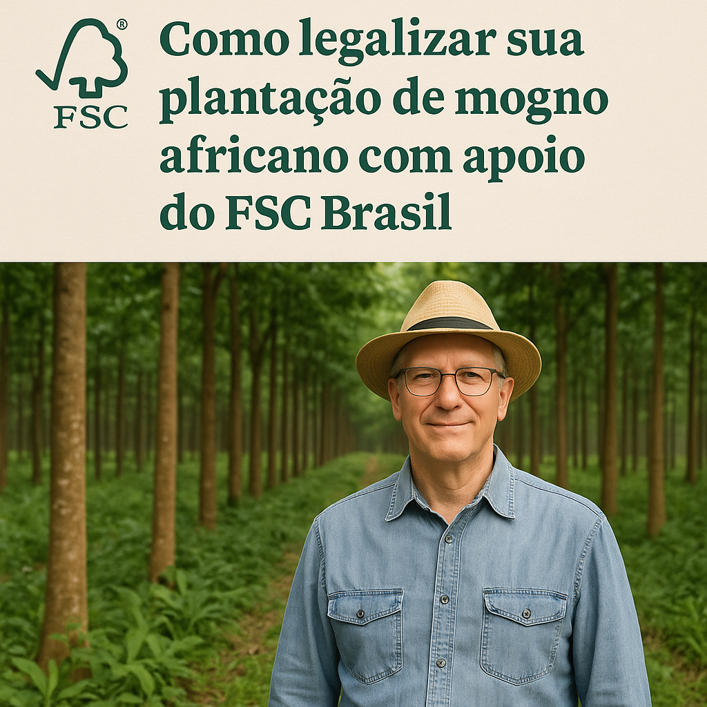 Como legalizar sua plantacão de mogno africano com apoio do FSC Brasil