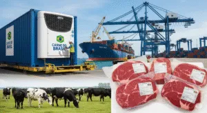 Mercados de exportação para carne bovina brasileira