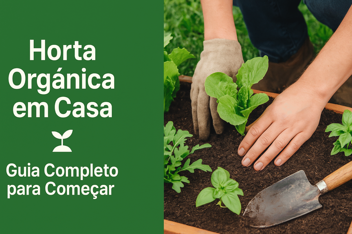 Benefícios de ter uma horta orgânica em casa