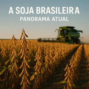Soja Brasileira Expectativas da Safra 2025 e Impacto no Mercado Global