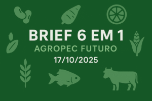 Brief Agropec Futuro — 6 em 1 — 17102025