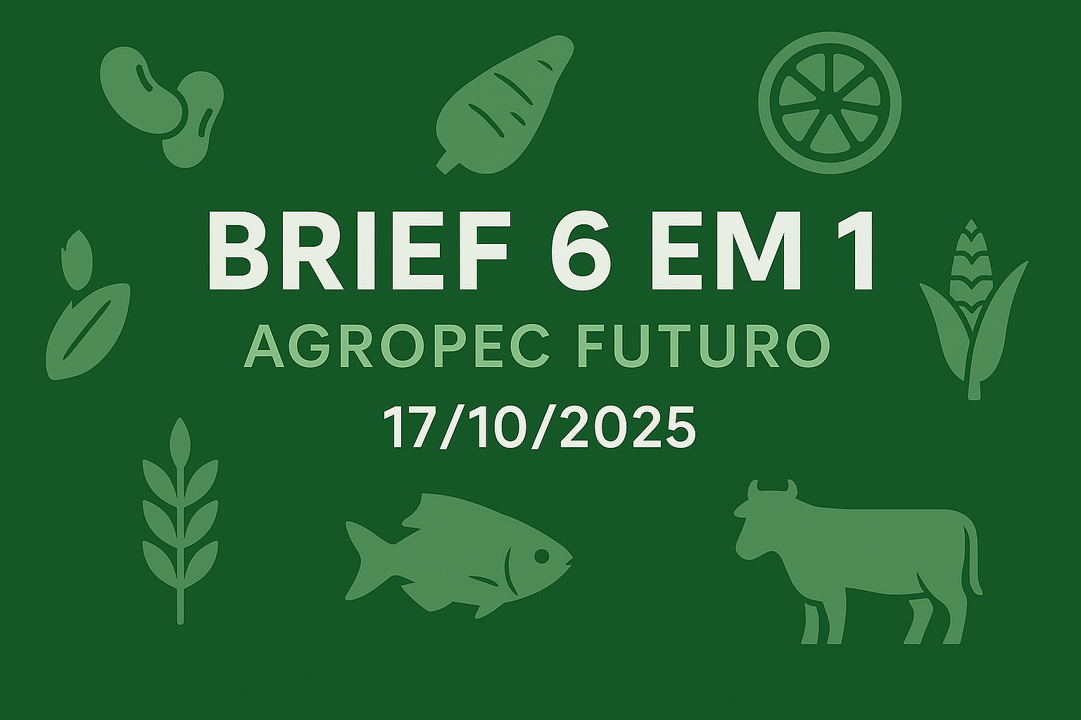 Brief Agropec Futuro — 6 em 1 — 17102025
