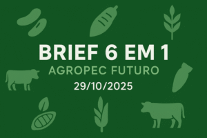 Brief Agropec Futuro — 6 em 1 — 29102025