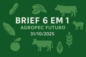 Brief Agropec Futuro — 6 em 1 — 31102025
