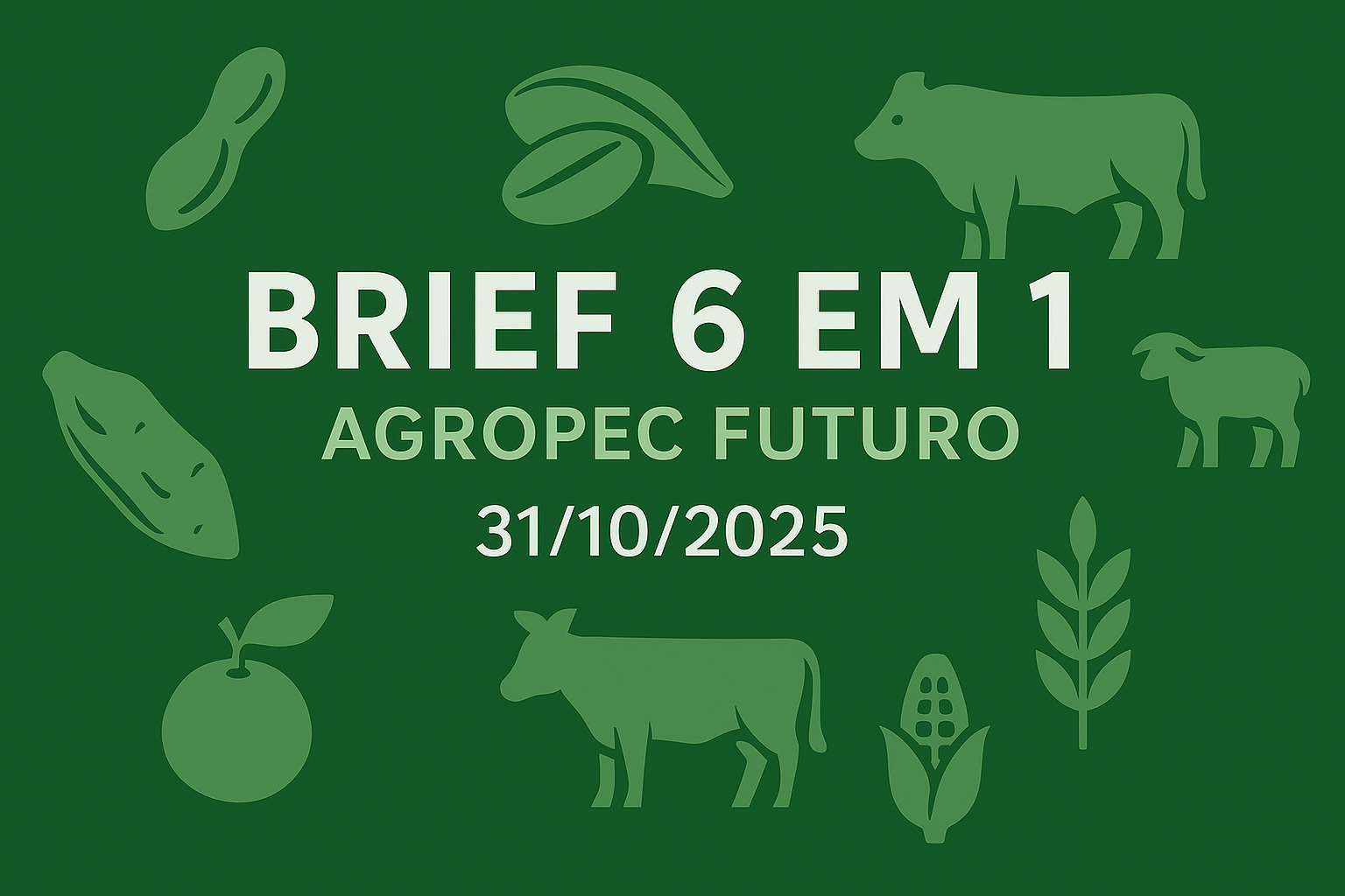 Brief Agropec Futuro — 6 em 1 — 31102025
