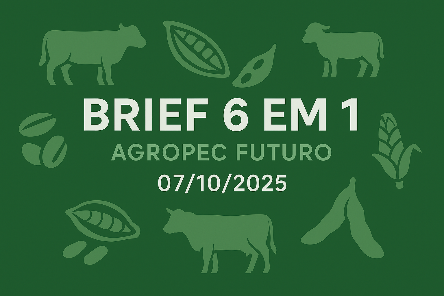 Brief Agropec Futuro — 6 em 1 — 07102025