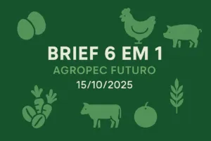 Brief Agropec Futuro — 6 em 1 — 15/10/2025 Brief Agropec Futuro — 6 em 1 — 15/10/2025