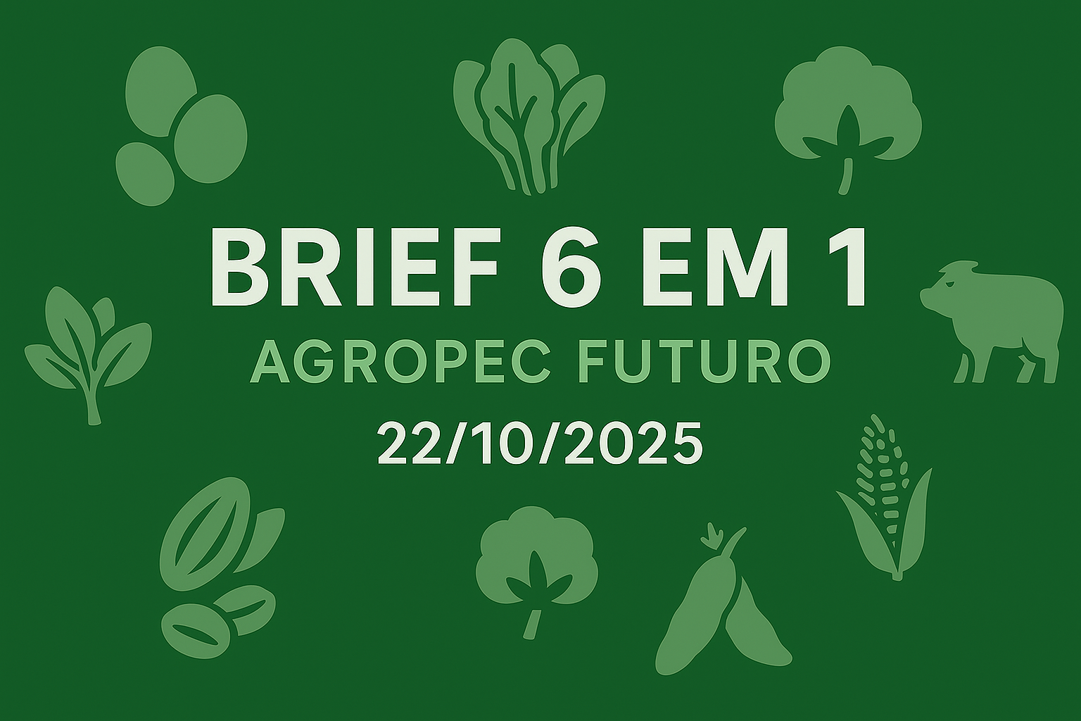 Brief Agropec Futuro — 6 em 1 — 22102025 Brief Agropec Futuro — 6 em 1 — 22/10/2025