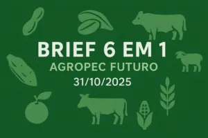Brief Agropec Futuro — 6 em 1 — 31102025