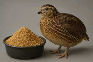 Nutrição de Codorna Alimentação Ideal para Codornas Poedeiras