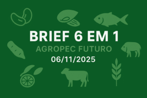 Brief Agropec Futuro — 6 em 1 — 06/11/2025