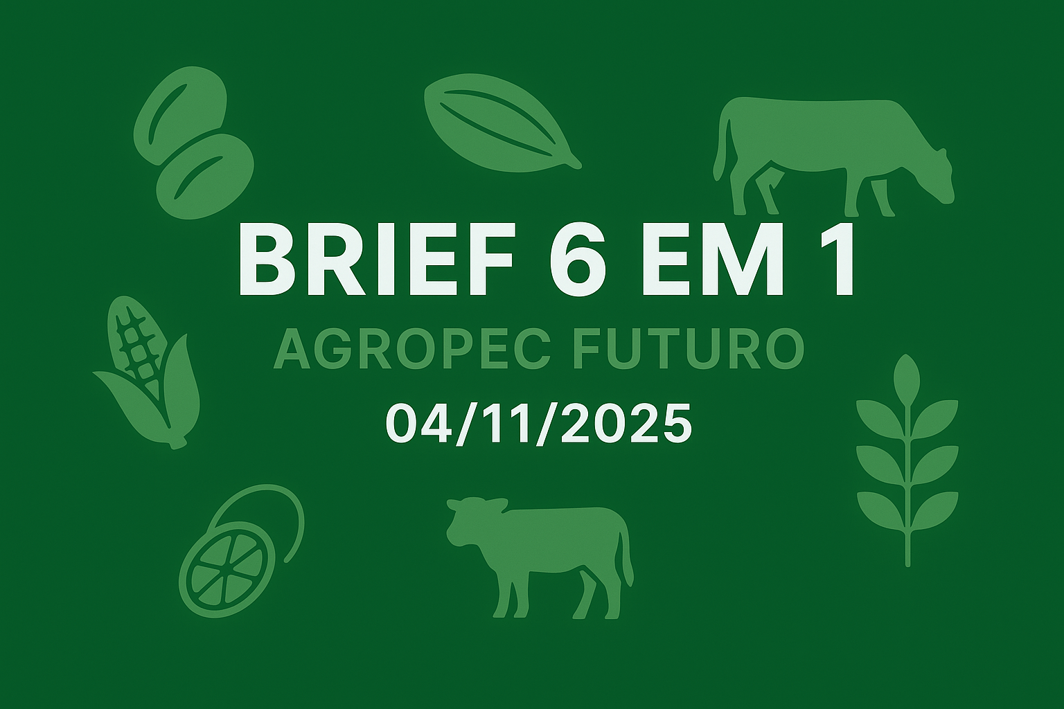 Brief Agropec Futuro — 6 em 1 — 04112025 Brief Agropec Futuro — 6 em 1 — 04112025