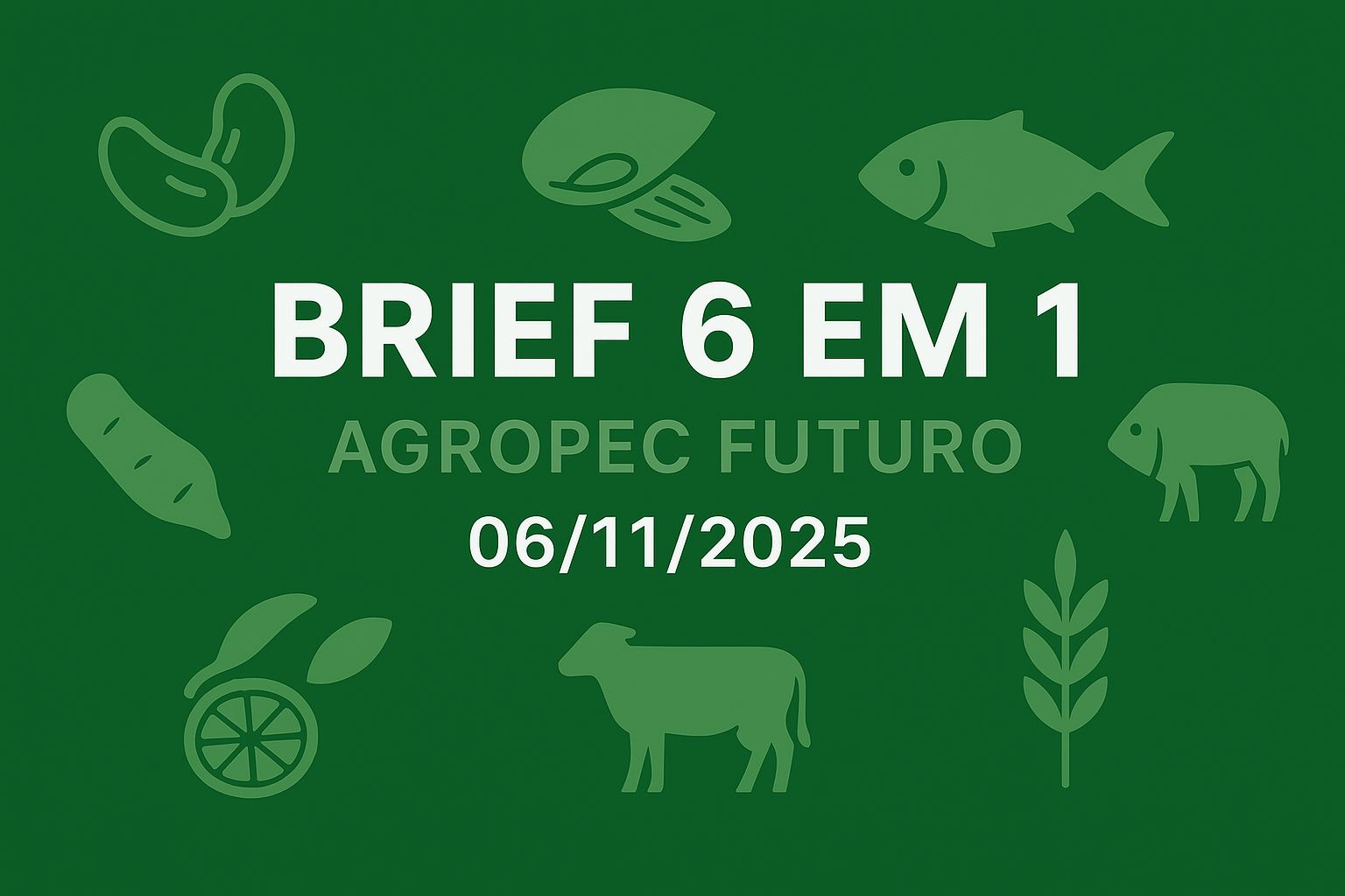Brief Agropec Futuro — 6 em 1 — 06112025 Brief Agropec Futuro — 6 em 1 — 06/11/2025