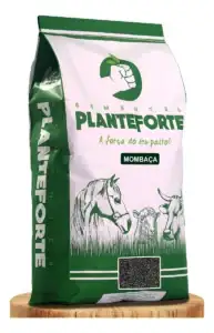 Semente Capim Mombaça Incrustada 10kg