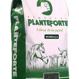 Semente Capim Mombaça Incrustada 10kg