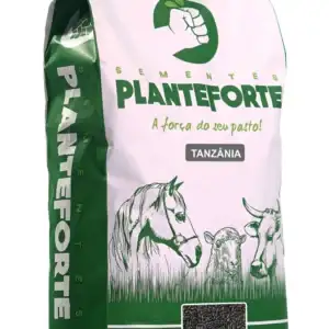 Semente Capim Tanzânia Incrustada 10kg