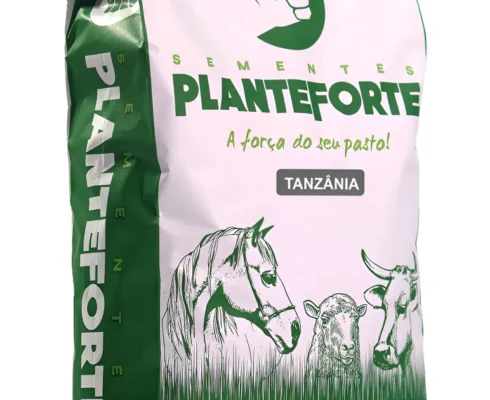 Brazil Corn Production: Complete and Practical Guide - Agropec Futuro