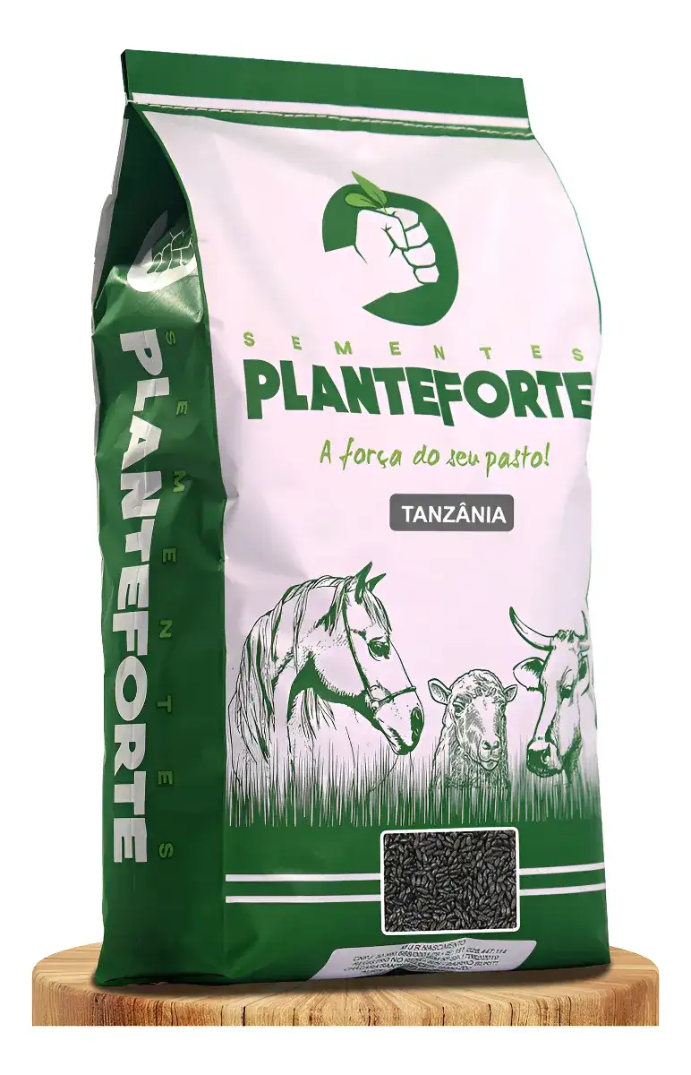 Semente Capim Tanzânia Incrustada 10kg