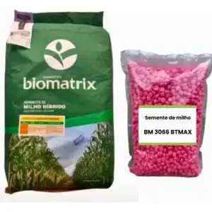 Semente Milho Bm 3066 Milho Verde Silagem 2.000 Sementes