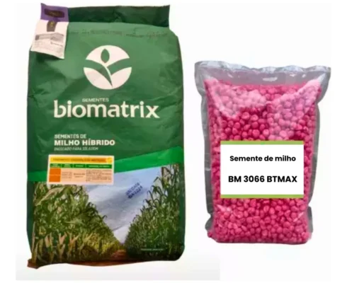 Brazil Corn Production: Complete and Practical Guide - Agropec Futuro