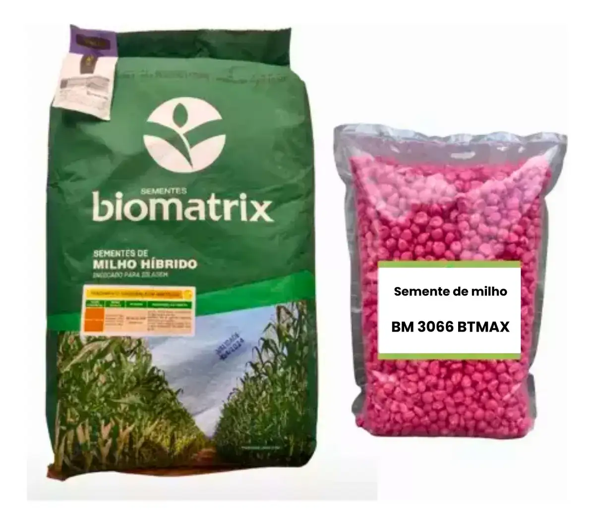 Semente Milho Bm 3066 Milho Verde Silagem 2.000 Sementes