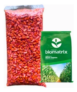 Semente Milho Resistente Lagarta e Roundup - BM 3077