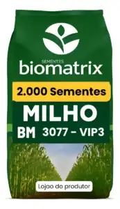 Semente Milho Resistente Lagarta e Roundup - BM 3077