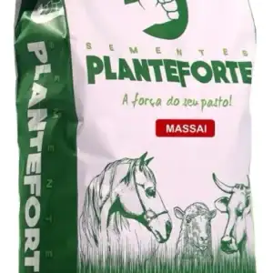 Semente de Capim Massai Incrustada - 10 Kg