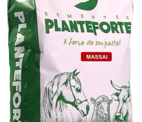Semente de Capim Massai Incrustada – 10 Kg