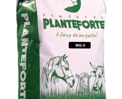 Sementes Capim Brachiaria Mg-5 Incrustada 10kg